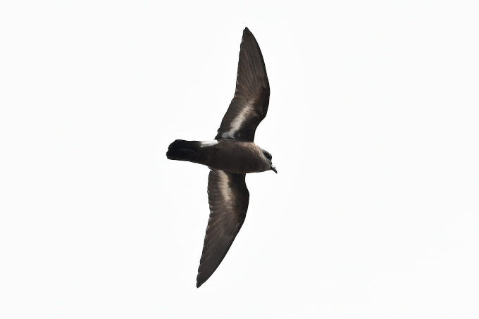 wp0b769cc3.jpg