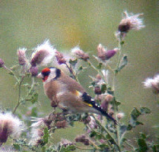wp7828fa42_0f.jpg