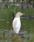 wp926889e3_0f.jpg