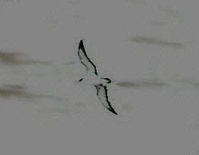 wp9c5650e9.jpg
