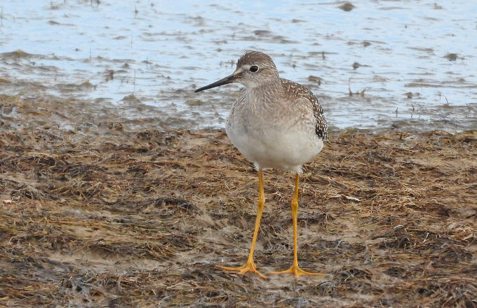 wpebca7a73.jpg